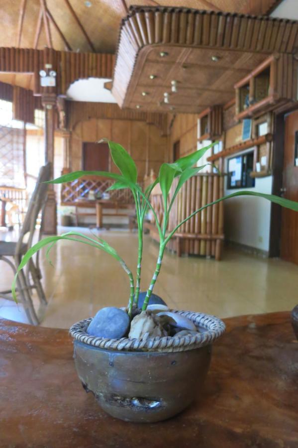 Pagdayon Traveler'S Inn Puerto Princesa Extérieur photo